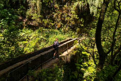 Madeira: Jungle Fever Levada Caldeirao Verde Hike SantanaCaniço: Pick Up area