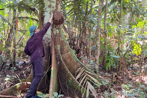 Iquitos : 2 jours en Amazonie, une merveille naturelle du monde