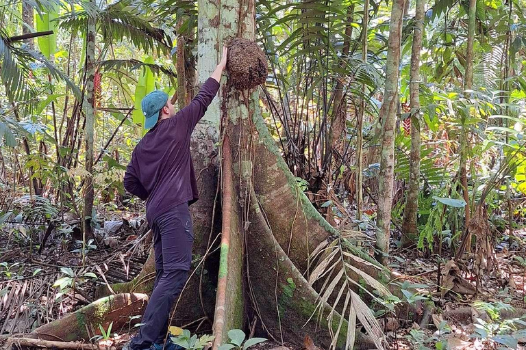 Iquitos: 2 days in the Amazon, a natural wonder of the world