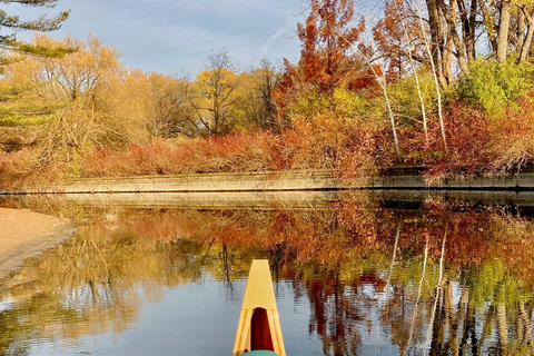 Toronto: Fall Colours Canoe Tour of the Toronto Islands Toronto: Fall Foliage Canoe Tour of the Toronto Islands