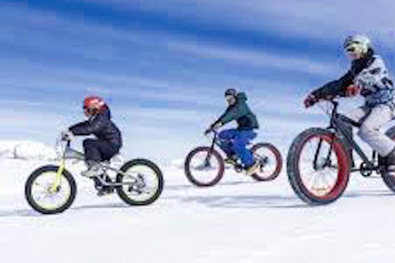 Full day Park Farellones with ticket