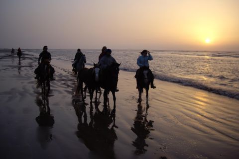 Essaouira: tour di equitazione di una giornata con pranzo