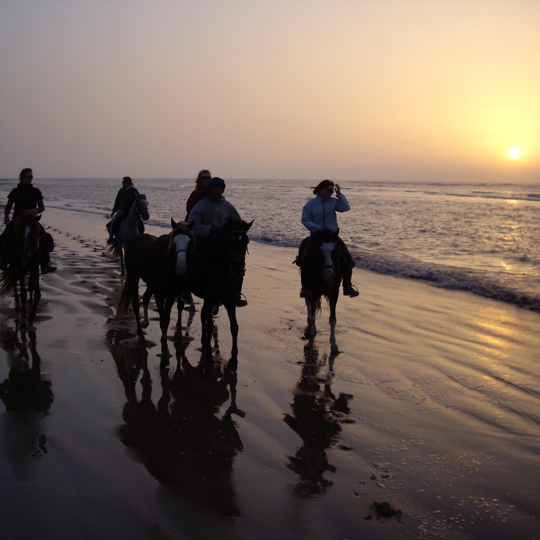 Essaouira : Visite d'une jounée à cheval avec déjeuner - equitation
