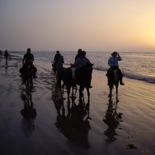Essaouira: Full-Day Horse Riding Tour with Lunch