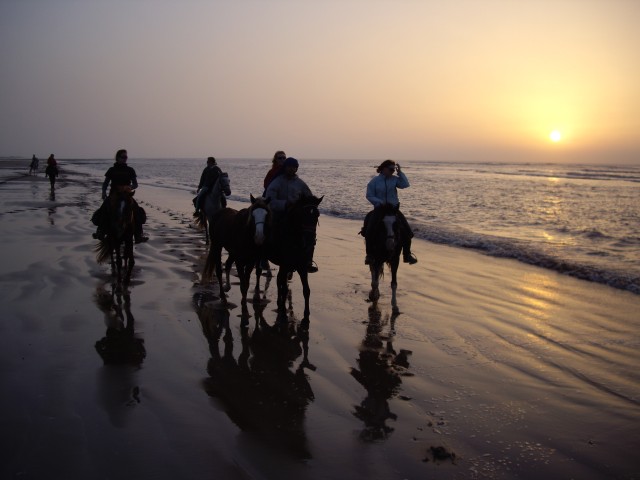 Visit Essaouira Full-Day Horse Riding Tour with Lunch in Essaouira