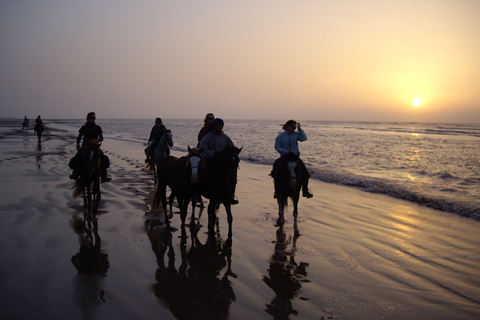 Essaouira : balade à cheval d'une journée avec déjeunerEssaouira : balade à cheval d'une journée et déjeuner