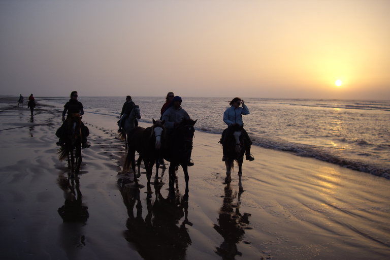 Essaouira: Heldags ridtur med lunch