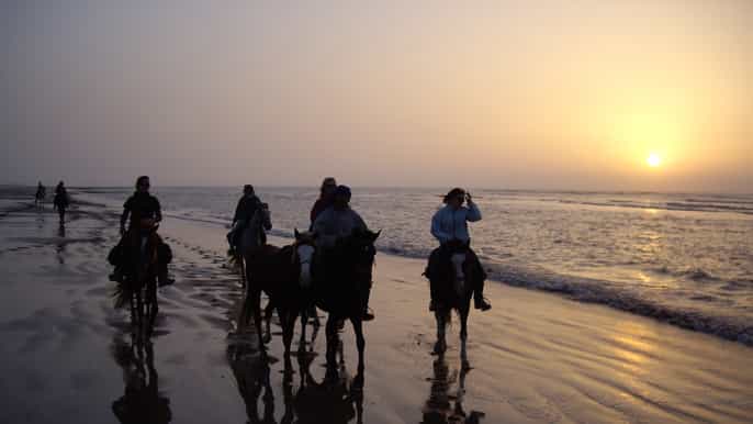 essaouira fullday horse riding tour with lunch