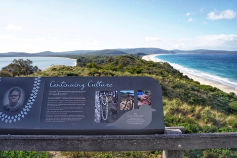 Bruny Island and Little Train: Local Explorer Tour