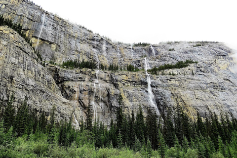 Athabasca Falls/Abraham,Sunwapta Falls, Icefield, Peyto Lake