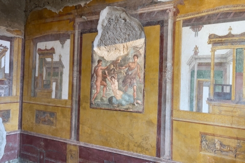 Pompeii: ticket en rondleiding inclusief bezoek aan Regio V-siteRondleiding in het Engels