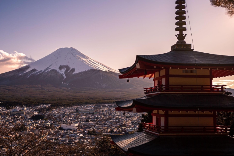 1-daagse tour: Mt Fuji + Kawaguchi-merengebied