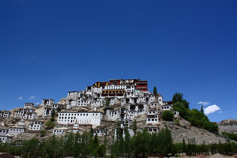 08 Días Taj Mahal Tour Con Parque Nacional HemisExcursión al Taj Mahal con el Parque Nacional de Hemis