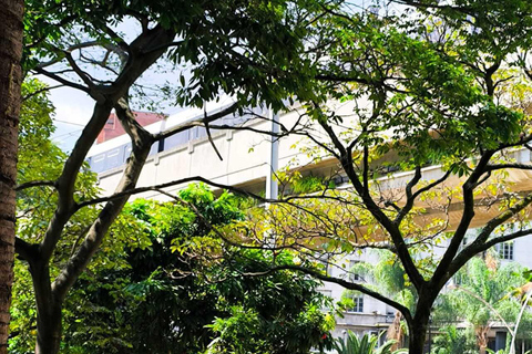 Medellín Through Time – City Sightseeing Tour | Subway, Metrocable, and Historic Center