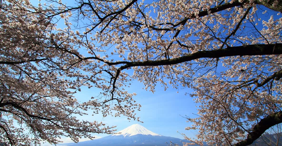 Mount Fuji: Full-Day Tour from Tokyo with Lunch