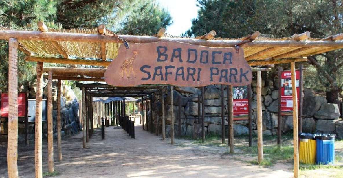 badoca safari park lisboa