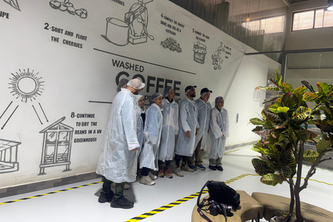 Where Coffee Was Born: Addis Ababa Culture & Highlands Tour