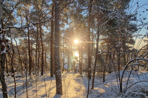 Oslo: Malmøya Guided Hike with Waffle & Salmon Tasting