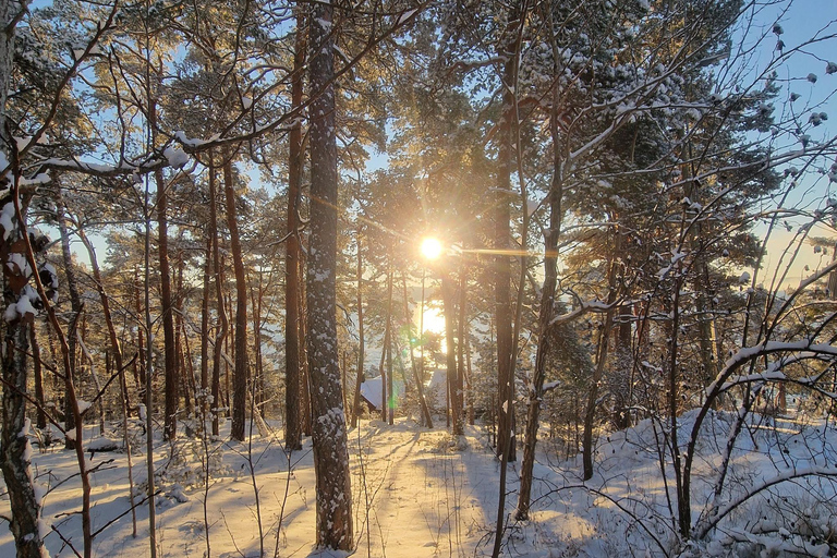 Oslo: Malmøya Guided Hike with Waffle & Salmon Tasting