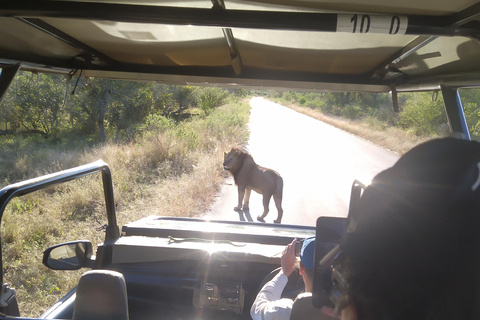 5-daagse all-inclusive Kruger &amp; Pano Tour van JHB