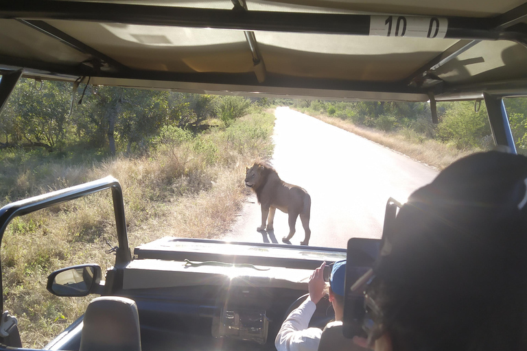 Tour di 5 giorni all-inclusive del Kruger e del Pano da JHB