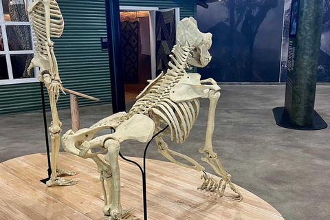 Kigali: 7-Day Safari, Wildlife Immersion, Big 5 to Gorillas