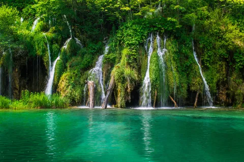 Visite privée des lacs de Plitvice depuis Split