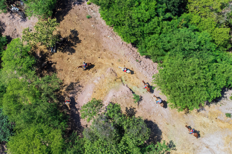 Puerto Vallarta: Advanced Jungle Horseback Riding Tour