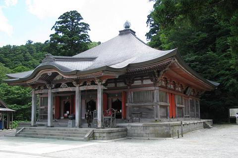 Tokyo Cherry Blossom Walking Tour & Hanami Experience