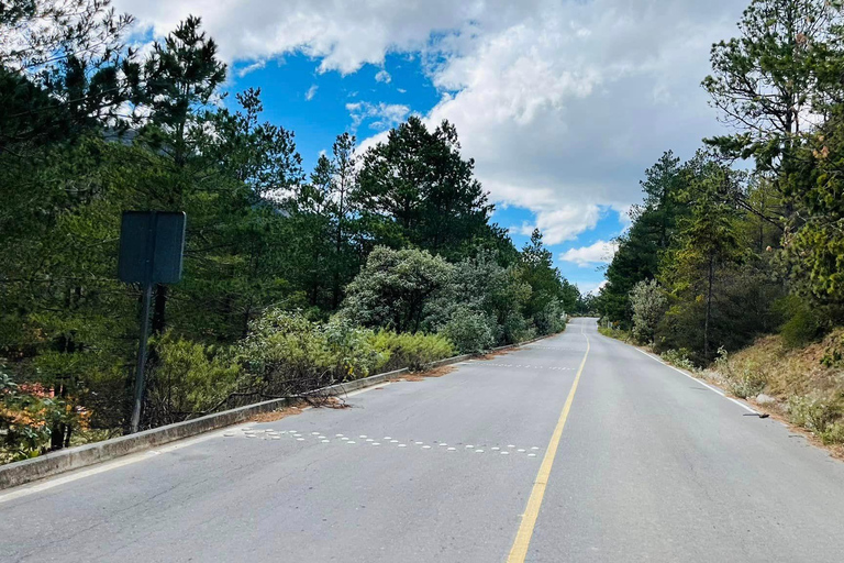 Wycieczka z przewodnikiem, transferem i biletami wstępu na wyprawę ArteagaMonterrey: Wycieczka z przewodnikiem po Arteaga, Coahuila