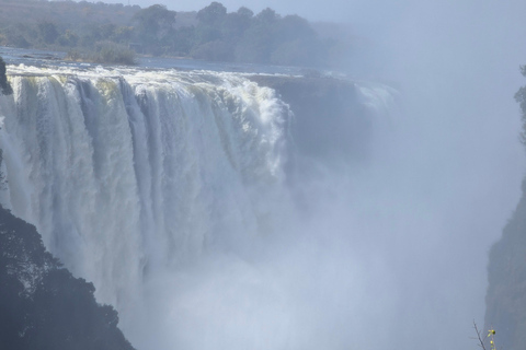 Victoria Falls: Historic Town Tour, Big Tree & Guided Walk