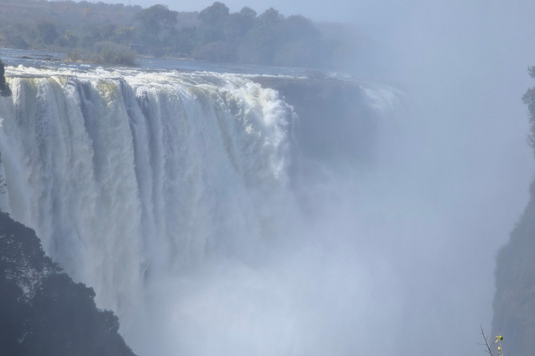 Victoria Falls: Historic Town Tour, Big Tree & Guided Walk