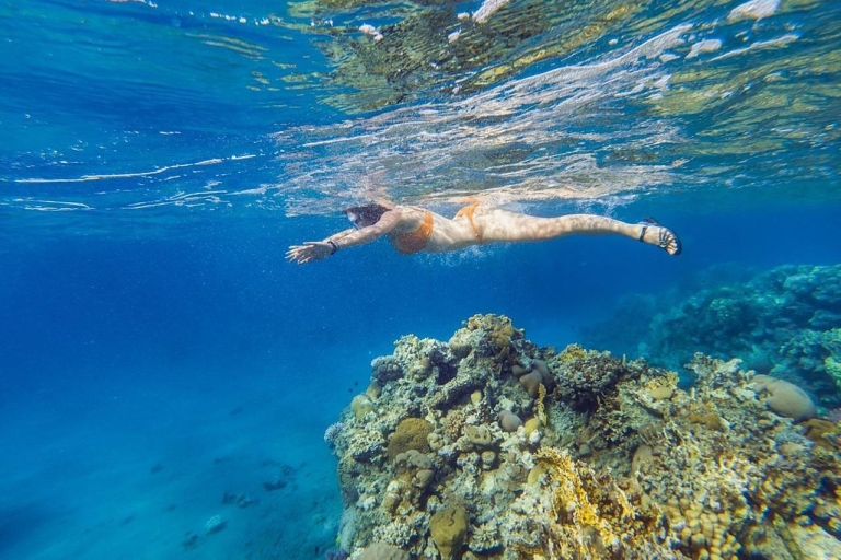 From Sharm El-Sheikh: Ras Mohammed Snorkeling Trip Ras Mohammed and white island cruise