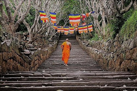 From Negombo To Anuradhapura Transfer with Sightseeing Stops