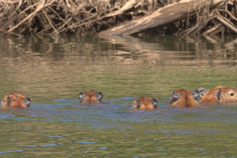 Tambopata by bike: between the trees and the river Tambopata by bike: among the trees and the river