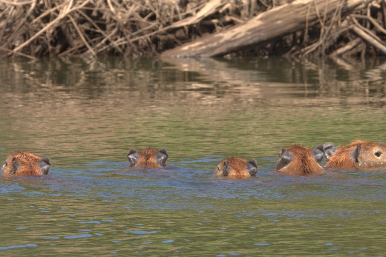 Tambopata by bike: between the trees and the river Tambopata by bike: among the trees and the river