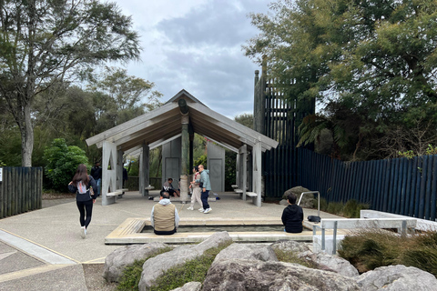 DESDE ROTORUA: TOUR DE MEDIO DÍA POR EL PAÍS DE LAS MARAVILLAS GEOTÉRMICAS DE WAI-O-TAPU