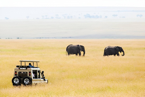 Zanzibar: Safári de 3 dias no Serengeti e Ngorongoro