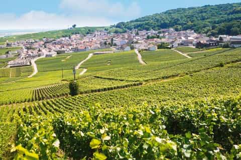 From Paris: Small-Group Moët & Chandon Champagne Tour
