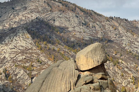 Dagsutflykt till Chinggis Khaan-statyn och Terelj nationalpark