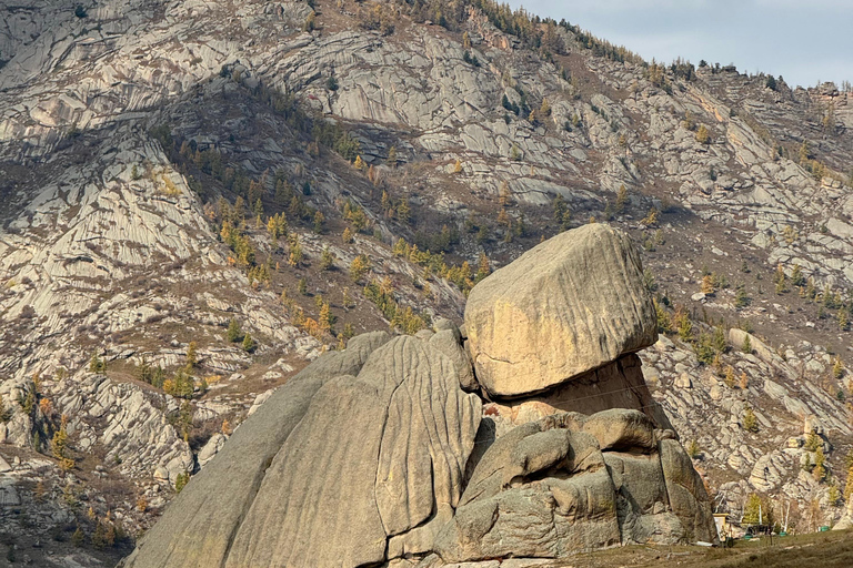 Dagsutflykt till Chinggis Khaan-statyn och Terelj nationalpark