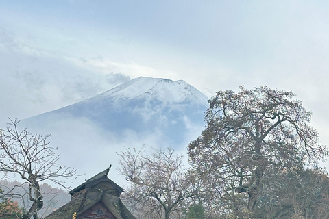 Mt Fuji Sightseeing Private tour with English Speaking Guide