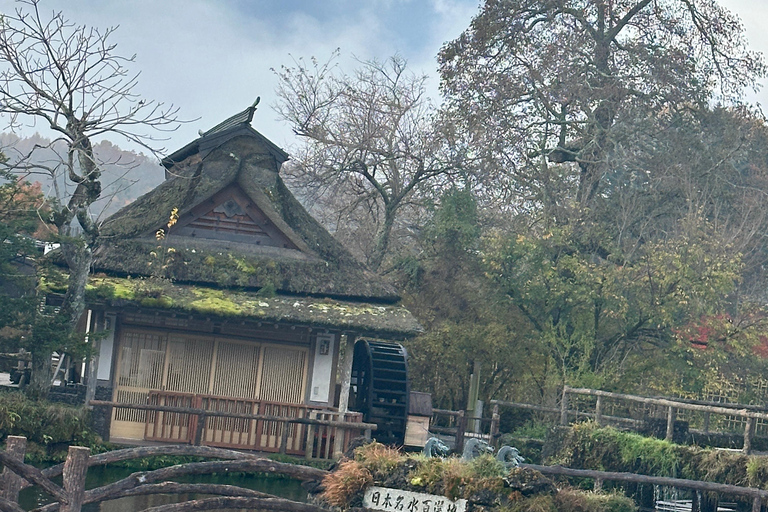 Mt Fuji Sightseeing Private tour with English Speaking Guide