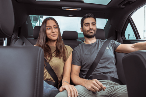 Vienna: Best of Vienna in 2 Hours with a Local