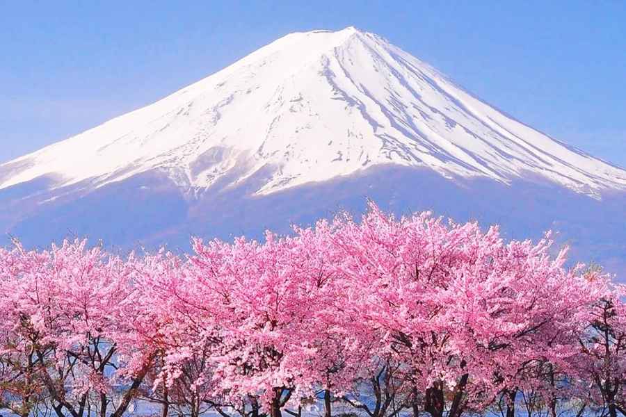 Tokio: Mt. Fuji, Kawaguchi See, Yamanaka See, Onsen Tagestour. Foto: GetYourGuide