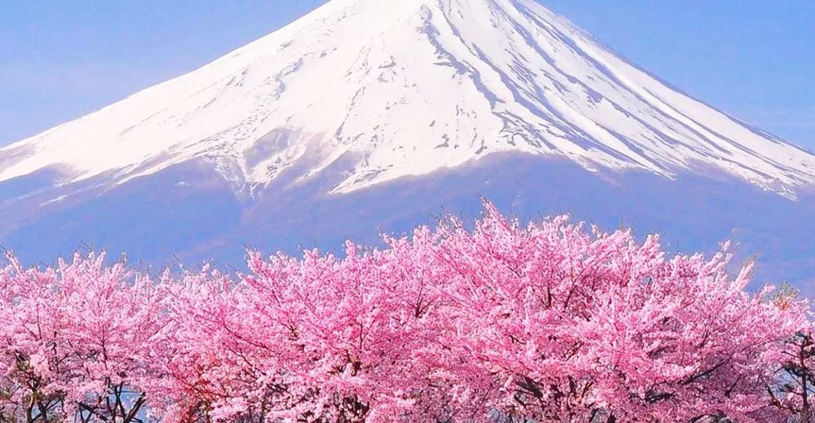 Tokyo: Mt. Fuji, Lake Kawaguchi,Lake Yamanaka,Onsen Day Tour | GetYourGuide