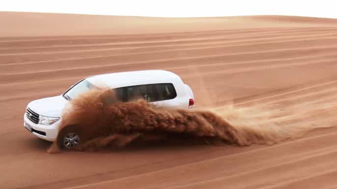 from dubai arabian safari experience