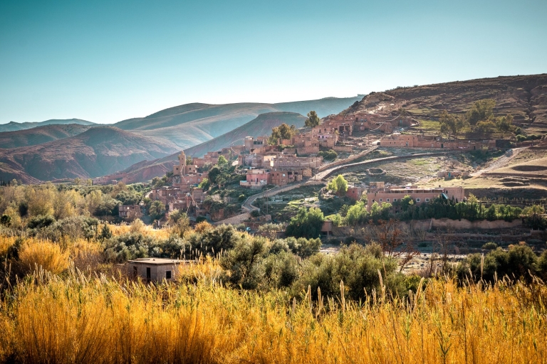 Ab Marrakesch: Tagestour zum Atlasgebirge mit Kamelritt