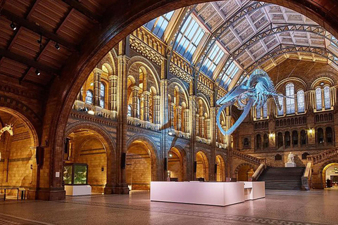 Discover London's Natural Wonders: Museum Expedition