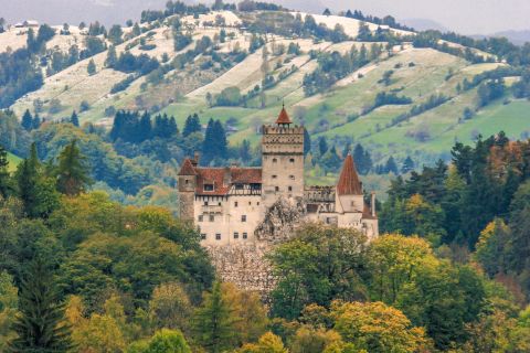 Peles, Dracula's Castles & Brasov: Private Day Trip & Pickup